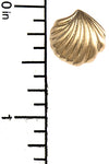 Dainty Sea Shell Earrings - Jewelry Buzz Box
 - 3