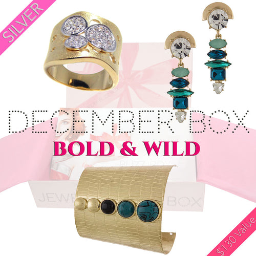 December Bold & Wild Silver Box - Jewelry Buzz Box
 - 1