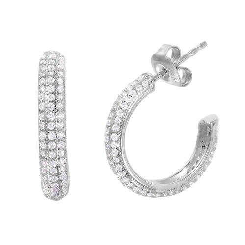 Glorious Silver Earrings - Jewelry Buzz Box

