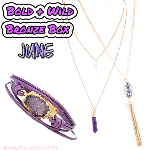 June Bold & Wild Bronze Box - Jewelry Buzz Box
 - 1
