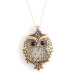 Wise Owl Magnify Necklace - Jewelry Buzz Box
 - 1